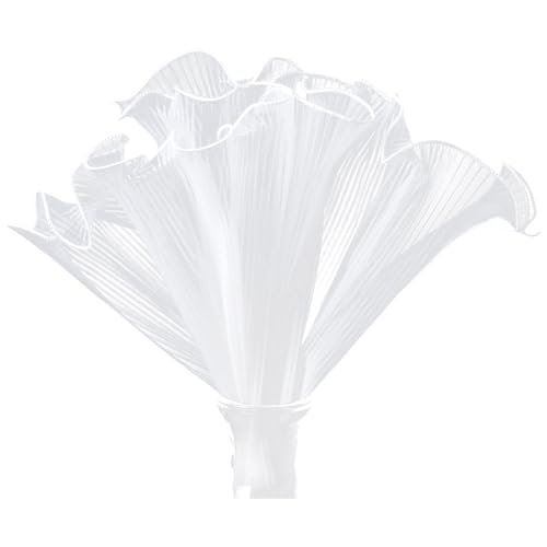 Elegantes weißes Organza-Spitzenband mit Rüschen, Plissee-Rand für Hochzeitskleider, Dekorationen und Bastelprojekte Elegantes weißes Organza-Spitzenband mit Rüschen, Plissee-Rand für Hochzeitskleider, Dekorationen und Bastelprojekte von FROMCEO