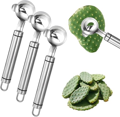 3/5er-Pack Kaktusschällöffel, Kaktusschäler aus Edelstahl mit langem Griff und Loch, geeignet zum Kochen von Küchengeräten, Multifunktions-Schälwerkzeug 3/5er-Pack Kaktusschällöffel, Kaktusschäler aus Edelstahl mit langem Griff und Loch, geeignet zum Kochen von Küchengeräten, Multifunktions-Schälwerkzeug von FSAZSVBT