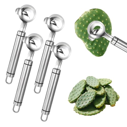 3/5er-Pack Kaktusschällöffel, Kaktusschäler aus Edelstahl mit langem Griff und Loch, geeignet zum Kochen von Küchengeräten, Multifunktions-Schälwerkzeug 3/5er-Pack Kaktusschällöffel, Kaktusschäler aus Edelstahl mit langem Griff und Loch, geeignet zum Kochen von Küchengeräten, Multifunktions-Schälwerkzeug von FSAZSVBT