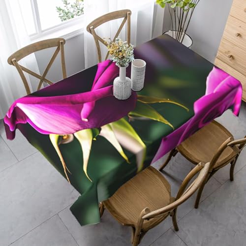 FSCEV Tischdecke mit violetten Rosen, rechteckig, für Küche, Esszimmer, Innen- und Außenbereich von FSCEV