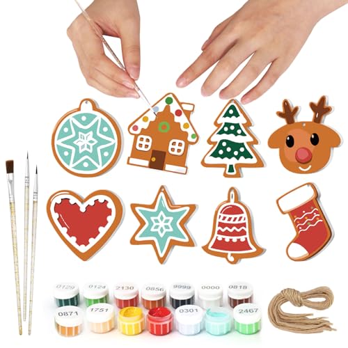 8 Stück Weihnachten Malen Nach Zahlen für Erwachsene DIY-Weihnachtsbaumschmuck Zum Aufhängen mit Hanfseil Malen Nach Zahlen für Anfänger mit PVC-Pinseln und Acrylfarben für die Wohnraumgestaltung (B) von FSSODWT