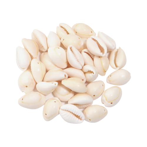 100 Stück natürliche Muschelperlen, kleine Armbänder, Muschelperlen, Halskette, Muschelperlen, Schmuckherstellung, ovale Muscheln, Strandparty, Dekorationen mit Löchern und goldenem Rand für den von FSSTUD