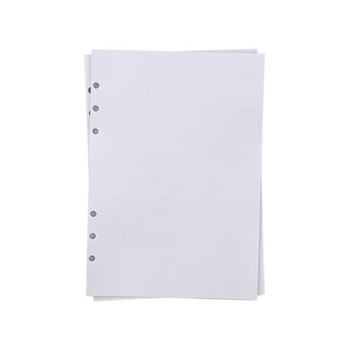 40 Blatt A5 Größe Aufkleber Sammelalbum Seiten Aufkleber Sammlung Papier Ersatz Blanko Papier Binder Nachfüllungen 6 Ringbucheinlagen Lose Blätter Planer Papiere für Mädchen von FSSTUD
