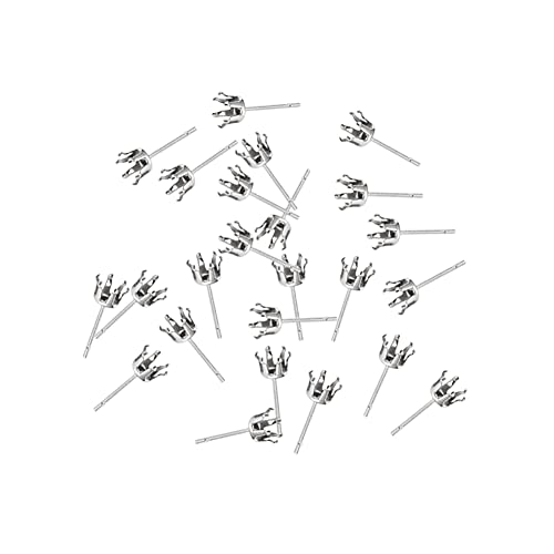 FSSTUD 100 Stück 6 mm Edelstahl-Ohrringrohlinge, 6 Krallen, Ohrringpfosten, Ohrstecker-Einstellungen, DIY-Ohrringzubehör für Schmuckherstellung FSSTUD 100 Stück 6 mm Edelstahl-Ohrringrohlinge, 6 Krallen, Ohrringpfosten, Ohrstecker-Einstellungen, DIY-Ohrringzubehör für Schmuckherstellung von FSSTUD