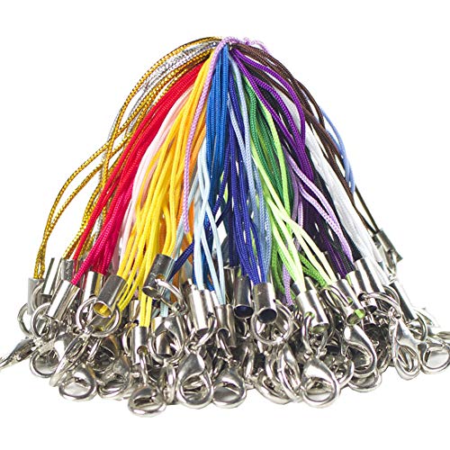 FSSTUD 100 Stück Karabinerverschluss Seil Karabinerverschluss Anhänger Handyanhänger Handy Lanyard für DIY Handwerk von FSSTUD