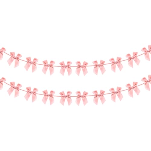 FSSTUD 2 Stück Schleife zum Aufhängen, Brautparty, Schleife, Banner, niedliche hängende Schleifen, Junggesellinnenabschied, Girlanden, Hochzeitsbanner, Foto-Requisiten, Kokette von FSSTUD
