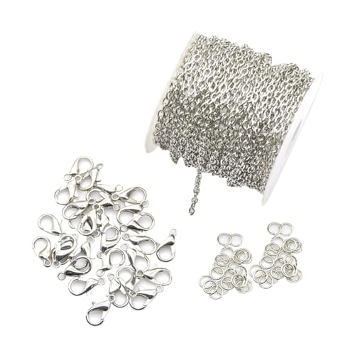 FSSTUD 5 m 2,4 mm dünne Ketten zur Schmuckherstellung, Metallarmband, Halskette, Glieder-Kabelketten mit 60 offenen Biegeringe und 30 Karabinerverschlüsse FSSTUD 5 m 2,4 mm dünne Ketten zur Schmuckherstellung, Metallarmband, Halskette, Glieder-Kabelketten mit 60 offenen Biegeringe und 30 Karabinerverschlüsse von FSSTUD