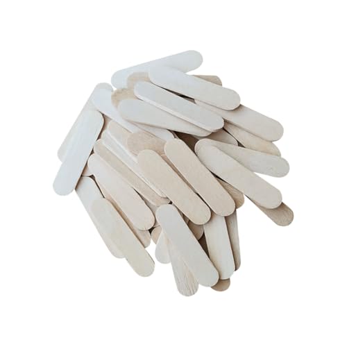 FSSTUD 500 Stück Mini-Holz-Bastelstäbchen, kleine Eiscreme-Holzstäbchen, winzige DIY-Sticks am Stiel, Modellbaustab für Kunstmalprojekte FSSTUD 500 Stück Mini-Holz-Bastelstäbchen, kleine Eiscreme-Holzstäbchen, winzige DIY-Sticks am Stiel, Modellbaustab für Kunstmalprojekte von FSSTUD