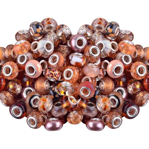 FSSTUD Glasperlen mit großem Loch, 15 mm, sortiert, europäische Bastelperlen, Stiftperlen, Abstandshalter, Armbänder, lose dekorative Perlen für Dekoration, Braun, 60 Stück FSSTUD Glasperlen mit großem Loch, 15 mm, sortiert, europäische Bastelperlen, Stiftperlen, Abstandshalter, Armbänder, lose dekorative Perlen für Dekoration, Braun, 60 Stück von FSSTUD