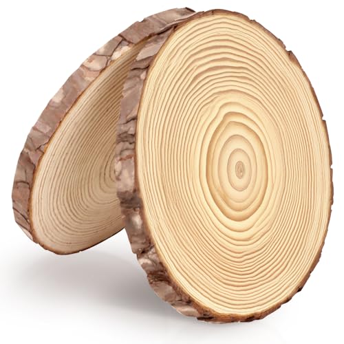 FSWCCK 2 Stück naturbelassene runde Holzscheiben, 22,9 - 27,9 cm, große Holzplatten für Hochzeiten, Tafelaufsätze, Dekoration und DIY Malerei Handwerk (22,9 cm - 27,9 cm) von FSWCCK