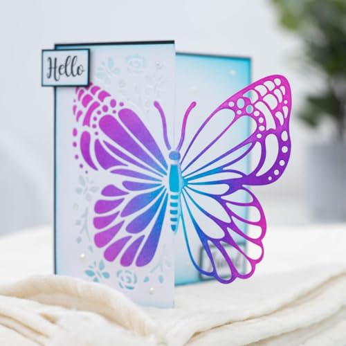FUGUT 2 Stück/Packung große Blumenblätter Schmetterling Prägeschablonen Hintergrund Stanzformen Kartenherstellung Scrapbooking Geburtstag Thanksgiving Weihnachten Valentinstag Stanzschablone FUGUT 2 Stück/Packung große Blumenblätter Schmetterling Prägeschablonen Hintergrund Stanzformen Kartenherstellung Scrapbooking Geburtstag Thanksgiving Weihnachten Valentinstag Stanzschablone von FUGUT