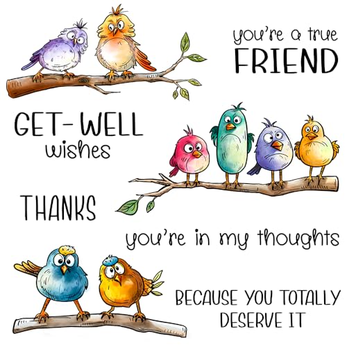 FUGUT Lustige Vögel auf Zweigen, transparente Stempel und Stanzformen für Scrapbooking, Kartenherstellung, Bastelbedarf, Fotoalbum-Dekorationen, handgefertigte Geschenke für Geburtstags-Dankeskarten FUGUT Lustige Vögel auf Zweigen, transparente Stempel und Stanzformen für Scrapbooking, Kartenherstellung, Bastelbedarf, Fotoalbum-Dekorationen, handgefertigte Geschenke für Geburtstags-Dankeskarten von FUGUT