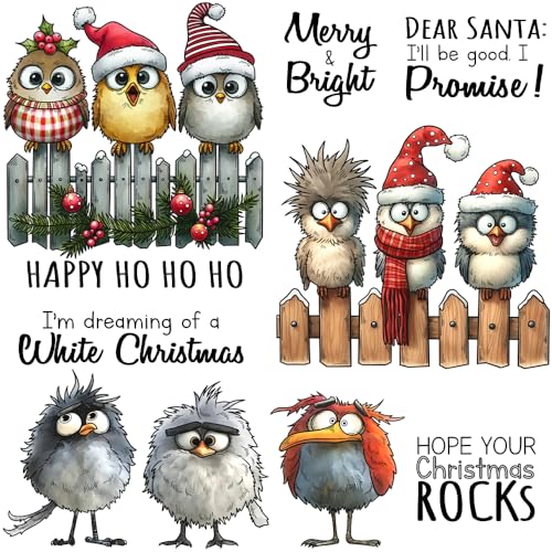 FUGUT Transparente Stempel und Metall-Stanzformen-Set für Kartenherstellung, DIY, Weihnachten, Scrapbooking, Zubehör, Silikon-Stempel, Messer-Form für Alben, Basteln (Weihnachtsmütze, Vögel, 14 x 14 von FUGUT