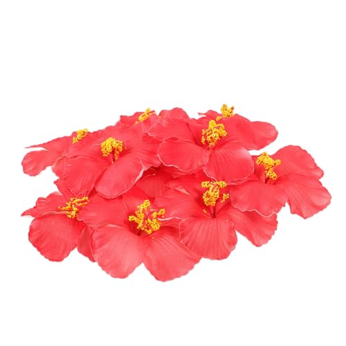 FUNNETOYU 20pcs Faux Hibiskus Blumenköpfe Für Hawaiianische Party Künstliche Tropische Blumen Für Kuchen -topper Faux Hawaii Hibiscus Blume FUNNETOYU 20pcs Faux Hibiskus Blumenköpfe Für Hawaiianische Party Künstliche Tropische Blumen Für Kuchen -topper Faux Hawaii Hibiscus Blume von FUNNETOYU
