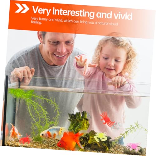 FUNOMOCYA 12 Stück Teiliges Bunte Weiche Krabbenmodelle aus Umweltfreundlichem TPR Realistische Meeres tierfiguren Pädagogisches Aquarium Ornament für Ab Jahren FUNOMOCYA 12 Stück Teiliges Bunte Weiche Krabbenmodelle aus Umweltfreundlichem TPR Realistische Meeres tierfiguren Pädagogisches Aquarium Ornament für Ab Jahren von FUNOMOCYA