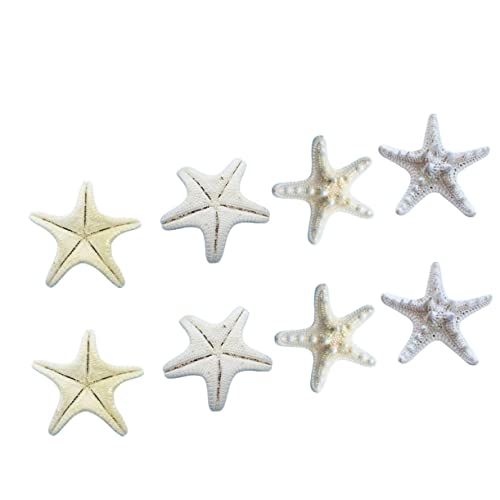 FUNOMOCYA 8 Stück Natürliche Seestern Deko Meeresmotiv Ornamente für Hochzeit Party DIY Bastelprojekte Wohnraum Tischdekoration Weiß Vielseitige Meeresthemen Accessoires von FUNOMOCYA