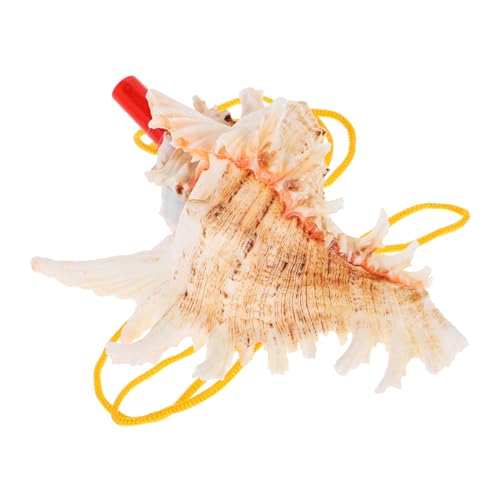 FUNOMOCYA Große Muschelhorn Pfeife aus Natürlicher Meeresschnecke Lustiges Klangspiel für Tragbares Outdoor Instrument Vielseitig Einsetzbar für Party Camping und Geburtstagsfeiern FUNOMOCYA Große Muschelhorn Pfeife aus Natürlicher Meeresschnecke Lustiges Klangspiel für Tragbares Outdoor Instrument Vielseitig Einsetzbar für Party Camping und Geburtstagsfeiern von FUNOMOCYA