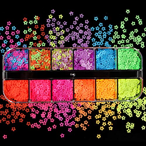 Füllmaterial DIY Epoxidharz Handwerk,Resin Filler Harz Füller,12 Gitter Nail Art Fluoreszierende Pailletten Holographische Glitzerflocken Harzfüllung von FURU