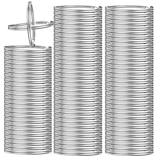 100 Stück Schlüsselringe, geteilte Schlüsselringe für Schlüsselanhänger und Handwerk (25 mm) von FUSHENGCHUANG
