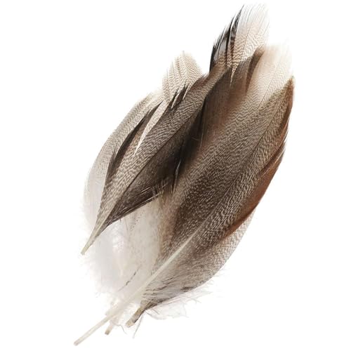 Stockentenflügel, 4–12 cm, für Bastelarbeiten, Halloween, Hochzeit, Kleidung, Verzierung, Fliegenbinden, Party-Dekoration, 50 Stück Stockentenflügel, 4–12 cm, für Bastelarbeiten, Halloween, Hochzeit, Kleidung, Verzierung, Fliegenbinden, Party-Dekoration, 50 Stück von FUUGlan