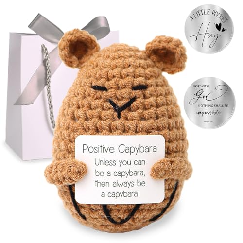 FYJCXCMP Pocket Hug Positive Capybara, Kreative Strickwolle Capybara Puppe, Eine Kleine Umarmung, Beste Freundin Geschenke, Kleines Geschenk für Freundin Familie Freund Patient (Capybara) von FYJCXCMP