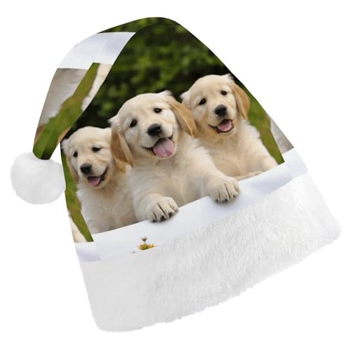 FZQVSGW Erwachsene Weihnachtsmützen Weihnachten Festival Hüte Weihnachten Party Geschenk Hüte Festliche Weihnachtsmützen für Männer und Frauen Weihnachtsmann Weihnachtsmütze Golden Retriever Welpen FZQVSGW Erwachsene Weihnachtsmützen Weihnachten Festival Hüte Weihnachten Party Geschenk Hüte Festliche Weihnachtsmützen für Männer und Frauen Weihnachtsmann Weihnachtsmütze Golden Retriever Welpen von FZQVSGW