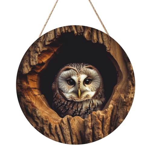 Holzkreise zum Basteln, 30,5 cm, Holzscheiben, Eule, Baumloch, Holztürhänger, Schild, hängende runde Holzscheiben mit Bindfaden, Holzornament für Schild, Türhänger, Heimdekoration, Urlaubsdekoration Holzkreise zum Basteln, 30,5 cm, Holzscheiben, Eule, Baumloch, Holztürhänger, Schild, hängende runde Holzscheiben mit Bindfaden, Holzornament für Schild, Türhänger, Heimdekoration, Urlaubsdekoration von FZQVSLCM
