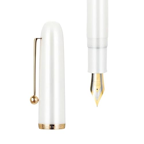 FZXCG Füllfederhalter, Acryl, transparent, Drehstift, EF/F/M, Schreibwaren, Büro, Schulbedarf, Schreibstifte, PK 9019 (H-Pore-Weiß, 0,7) von FZXCG
