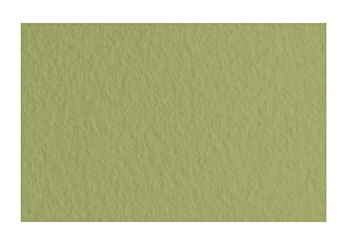 Honsell 21297114 - Fabriano Tiziano Pastellpapier Muschio, DIN A4, 50 Blatt, 160 g/m², hoch hadernhaltig, säurefrei und alterungsbeständig, griffige, raue Oberfläche von Fabriano
