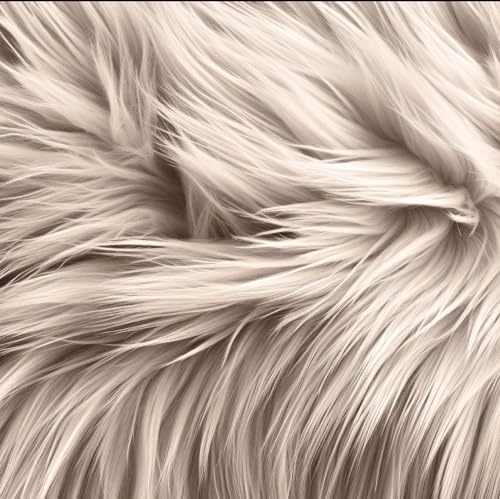 FabricLA Zotteliges Kunstfell, quadratisch, 25,4 x 25,4 cm, vorgeschnitten, Kunstfell-Stoff für Heimwerker, Kunstfelldekoration, Modeaccessoire, Zwerg, Hobby – Latte FabricLA Zotteliges Kunstfell, quadratisch, 25,4 x 25,4 cm, vorgeschnitten, Kunstfell-Stoff für Heimwerker, Kunstfelldekoration, Modeaccessoire, Zwerg, Hobby – Latte von FabricLA