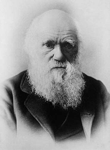 Fabulous Poster Plakat Charles Darwin Wissenschaftler Antikes Foto Fabulous Poster Plakat Charles Darwin Wissenschaftler Antikes Foto von Fabulous