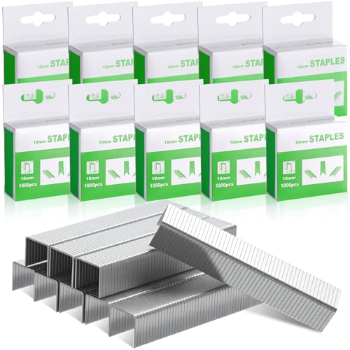 Faccito 10.000 Stück 1/2 Zoll und 3/8 Zoll Edelstahlklammern verzinkter Stahl Heftklammern für Heftpistole, Hefter, Polster, Bau, Möbel, Handwerk Faccito 10.000 Stück 1/2 Zoll und 3/8 Zoll Edelstahlklammern verzinkter Stahl Heftklammern für Heftpistole, Hefter, Polster, Bau, Möbel, Handwerk von Faccito