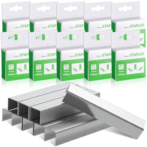 Faccito Heftklammern aus verzinktem Stahl, 0,95 cm, für Heftpistole, Hefter, Polster, Bau, Möbel, Handwerk, 10.0000 Stück Faccito Heftklammern aus verzinktem Stahl, 0,95 cm, für Heftpistole, Hefter, Polster, Bau, Möbel, Handwerk, 10.0000 Stück von Faccito
