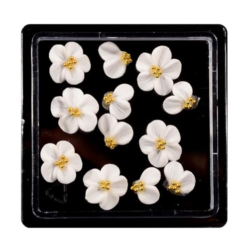 12 Stück Harz-Rosen-Kamelien-Nägel, einzigartige Stile, 3D-Nägel, Zubehör, Maniküre, Nagelkunst für Frauen und Mädchen 12 Stück Harz-Rosen-Kamelien-Nägel, einzigartige Stile, 3D-Nägel, Zubehör, Maniküre, Nagelkunst für Frauen und Mädchen von FackLOxc