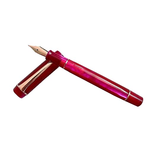 FackLOxc Acrylstift-Füllfederhalter zum Üben von Handschrift und Büroaufgaben, glattes Aussehen, glattes Schreiben FackLOxc Acrylstift-Füllfederhalter zum Üben von Handschrift und Büroaufgaben, glattes Aussehen, glattes Schreiben von FackLOxc