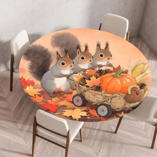 Rund Tischdecke mit Gummizug, Herbst Gartentischdecke Outdoor, Thanksgiving Herbstdeko Tischdecken Wasserabweisend und Abwaschbar ideal für Garten Balkon Küche (100cm,Style 6) von FahrtSeek