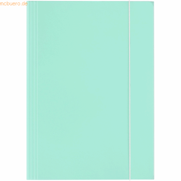 30 x Falken Sammelmappe PastellColor Karton glanzkaschiert A4 Minzgrün 30 x Falken Sammelmappe PastellColor Karton glanzkaschiert A4 Minzgrün von Falken