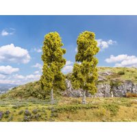 2 Birken von Faller