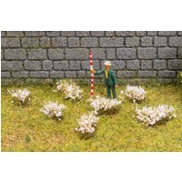 Blütenbüschel, weiß von Faller