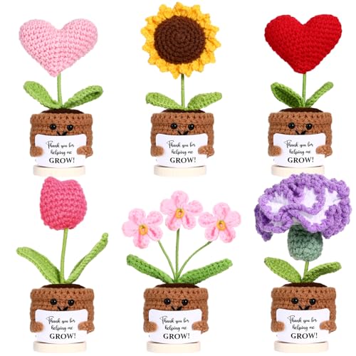 Fanfanwin Handgefertigte Häkelblumen, Topfpflanzen-Set, Lehrer, Wertschätzungsgeschenk, gestrickte Sonnenblumen, Herz, Tulpen, Basteln, Dankeschön für Helping Me Grow, Geschenke für Frauen, Lehrer von Fanfanwin