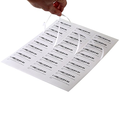 Adress-Etiketten, 100 Blatt, 3000 Etiketten, 1 x 2 5/8, 30 pro Blatt, für Laserdrucker/Tintenstrahldrucker, 30 Stück Adress-Etiketten, 100 Blatt, 3000 Etiketten, 1 x 2 5/8, 30 pro Blatt, für Laserdrucker/Tintenstrahldrucker, 30 Stück von Fangtek