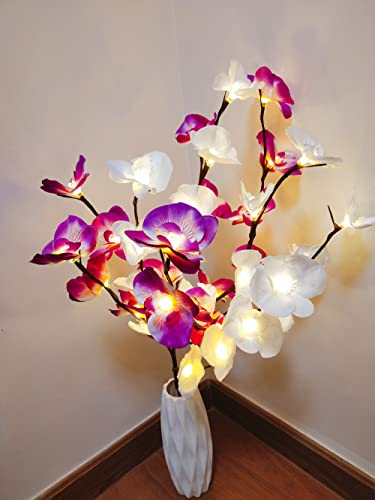 Fantasee Orchidee Zweig Lichter, 20 LED Künstliche Phalaenopsis Zweig Lichter Batteriebetriebene Flexible Zweige Dekor Lichter für Zuhause Schaufenster Vase Weihnachten (2 Packungen, weiß + lila) von Fantasee