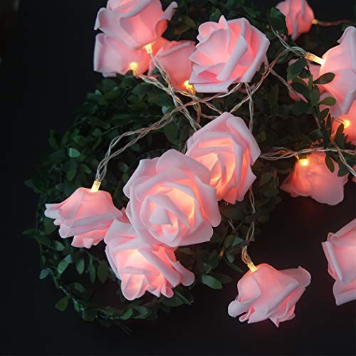 LED Rosa Blume Lichterketten Batteriebetrieben für Hochzeit Home Party Geburtstag Festival Indoor Outdoor Dekorationen große Rose Blume Durchmesser 6 cm (2M 20 LED, Rosa) von Fantasee