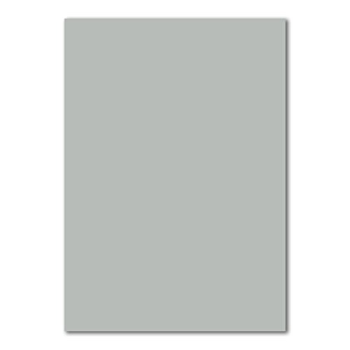 100 DIN A4 Papierbogen Planobogen - Hellgrau (Grau) - 160 g/m² - 21 x 29,7 cm - Bastelbogen Ton-Papier Fotokarton Bastel-Papier Ton-Karton - FarbenFroh von FarbenFroh by GUSTAV NEUSER