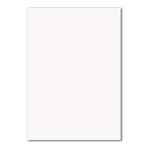100 DIN A4 Papierbogen Planobogen - Hochweiß (Weiß) - 160 g/m² - 21 x 29,7 cm - Bastelbogen Ton-Papier Fotokarton Bastel-Papier Ton-Karton - FarbenFroh von FarbenFroh by GUSTAV NEUSER
