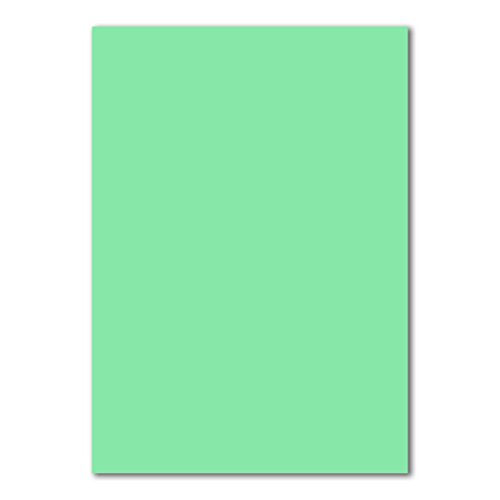 100 DIN A4 Papierbogen Planobogen - Mintgrün (Grün) - 160 g/m² - 21 x 29,7 cm - Bastelbogen Ton-Papier Fotokarton Bastel-Papier Ton-Karton - FarbenFroh von FarbenFroh by GUSTAV NEUSER