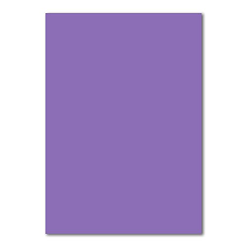 100 DIN A4 Papierbogen Planobogen - Violett - 160 g/m² - 21 x 29,7 cm - Bastelbogen Ton-Papier Fotokarton Bastel-Papier Ton-Karton - FarbenFroh von FarbenFroh by GUSTAV NEUSER