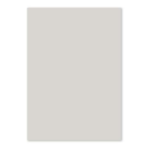 100 DIN A5 Einzelkarten Papierbögen - Hellgrau - 240 g/m² - 14,8 x 21 cm - Bastelbogen Tonpapier Fotokarton Bastelpapier Tonkarton - FarbenFroh von FarbenFroh by GUSTAV NEUSER
