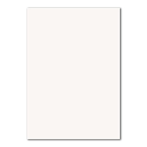 100 DIN A5 Einzelkarten Papierbögen - Hochweiß - 240 g/m² - 14,8 x 21 cm - Bastelbogen Tonpapier Fotokarton Bastelpapier Tonkarton - FarbenFroh von FarbenFroh by GUSTAV NEUSER