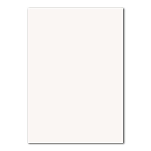 100 DIN A5 Einzelkarten Papierbögen - Hochweiß - 240 g/m² - 14,8 x 21 cm - Bastelbogen Tonpapier Fotokarton Bastelpapier Tonkarton - FarbenFroh 100 DIN A5 Einzelkarten Papierbögen - Hochweiß - 240 g/m² - 14,8 x 21 cm - Bastelbogen Tonpapier Fotokarton Bastelpapier Tonkarton - FarbenFroh von FarbenFroh by GUSTAV NEUSER